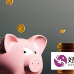 2024黑户能下款的新口子有哪些？分享5个网贷口子选择技巧